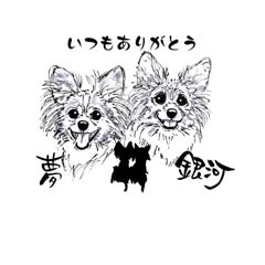 yume.ginga_20260422195129