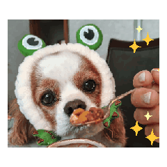 KURU_20260422203506