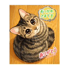 kyopy_20260422200335