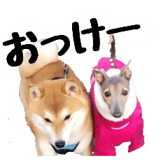 noamama_20260422211858