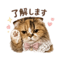 miumiu_20260422211715