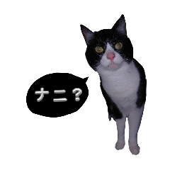 fukaLove person_20260422211734