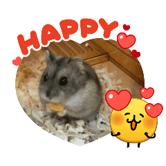 Sakura_20260422212356