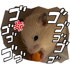 riona_20260422212443