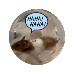 Ke-jin_20260422231342