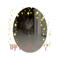 chi_20260423070022
