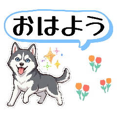 melon_20260422170934