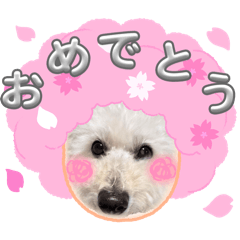 yuzuki_20260422203608