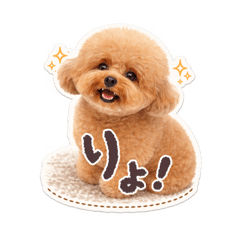 Rinoko_20260422204241