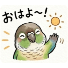 green-cheeked conure love