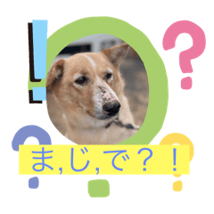 asagin_20260422220014