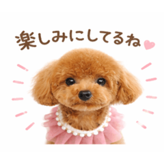 KOMUGI_20260422220042