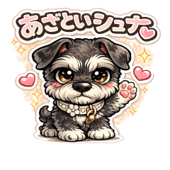 Flirty Schnauzer