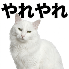 White Norwegian FC鹽對應貼圖 - AG