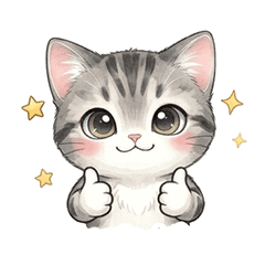 Classic American Shorthair Cat Daily Use