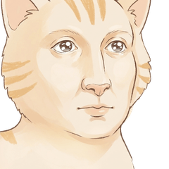 Funny & Adorable Expressive Cats