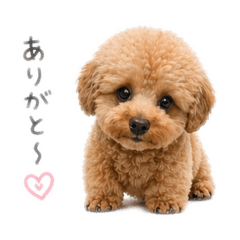 emicoco_20260422171006