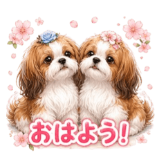 Dream Hamada_20260422171022