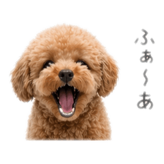 emicoco_20260422171819