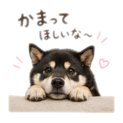 yuppo_20260422171737