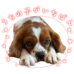 Emamama_20260422171505