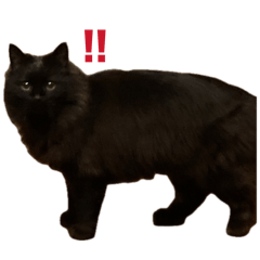 OGAWA_20260422221759