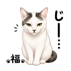 tomwata_20260422214512