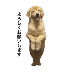 mikanbe_20260422214322