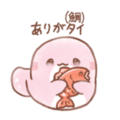 mochi jinbehzame_20260422222227