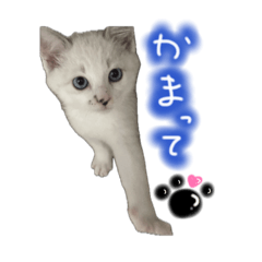 Latte_20260422222609