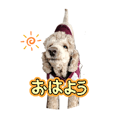 kainushi_20260422222138