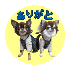 Choco Papa_20260422222300