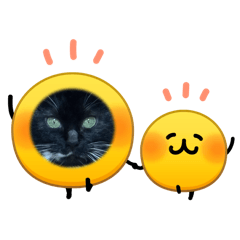 Goban_20260422222008