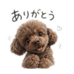 iroro_20260422223125