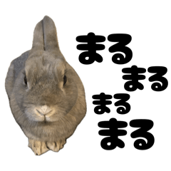 haruka_20260422222408