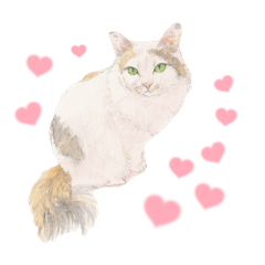 水彩にゃんこのよく使う言葉スタンプ