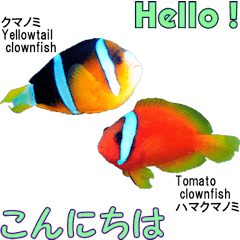沖縄の魚のそっくりさんの英会話と日本語