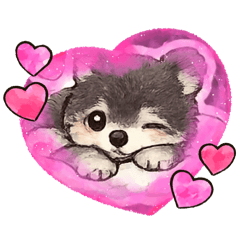 クマちゃんポメラニアン半蔵スタンプ2