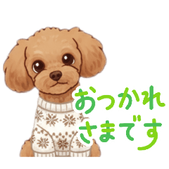 melon_20260422202205