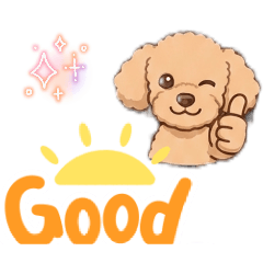 melon_20260422202718