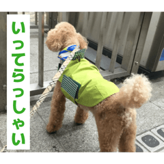 okaka_20260422214729