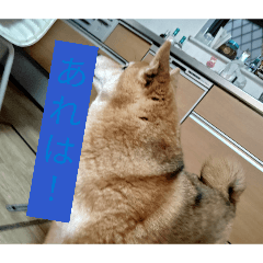 wannsuke_20260422231030