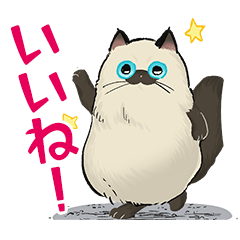 放浪猫●●【ねこぱんち×思い出食堂】