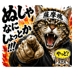 STOSHI-WAKAMATSU_20260422171704