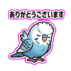 Nana Jodi_20260422174427