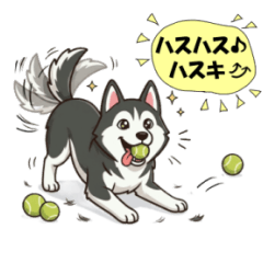 Expressive Husky1225
