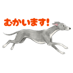 bunbuta_20260422174142