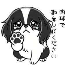 日常使いに♡ふわもこ狆日和