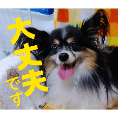 Mugi funny_20260422195336