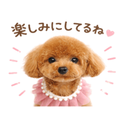 KOMUGI_20260422221022